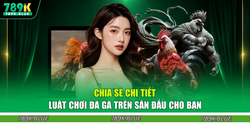 Chia sẻ chi tiết luật chơi đá gà trên sân đấu cho bạn