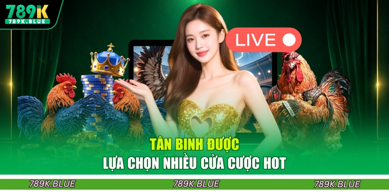 Tân binh được lựa chọn nhiều cửa cược hot